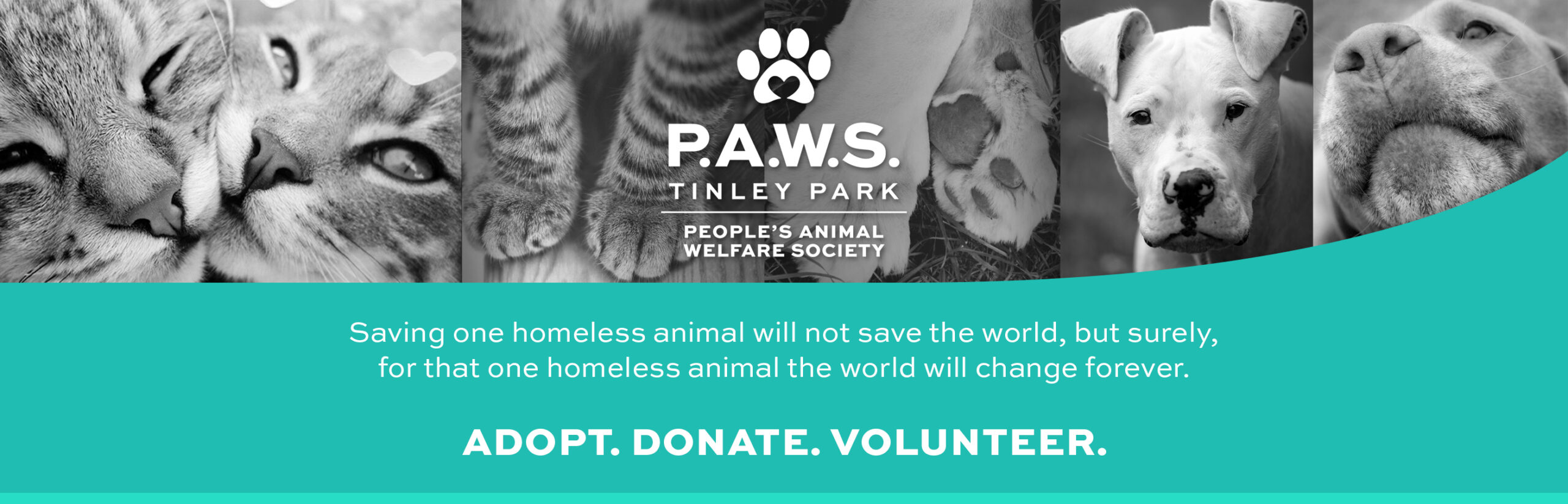 Volunteer .S. People Animal Welfare Society